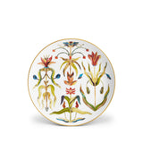 Grand Tour Dinnerware + Espresso (Set of 5)