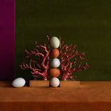 Coral Bookend