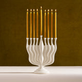 Timna Menorah - Oat