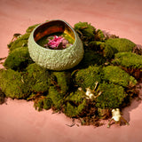 Haas Mojave Desert Bowl - Small - Matcha