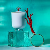 Coral Candle