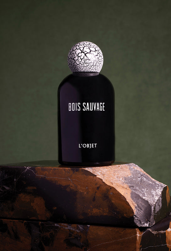 Bois Sauvage Fragrance Bottle on a brown stone in a forest green setting