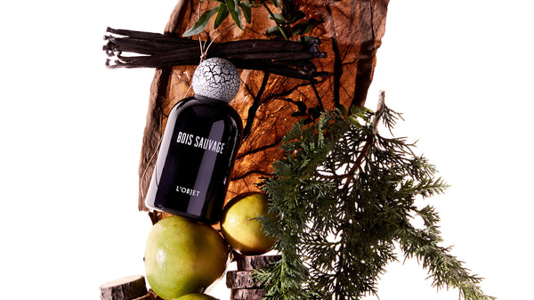 Bois Sauvage Frange Black Porcelain Fragrance Bottle with Crackled White Wooden Top arranged on top of a pear, lime, pine, vanilla and wooden objects.
