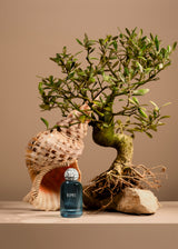 Delphes Eau de Parfum - 50ml / 1.7fl.oz