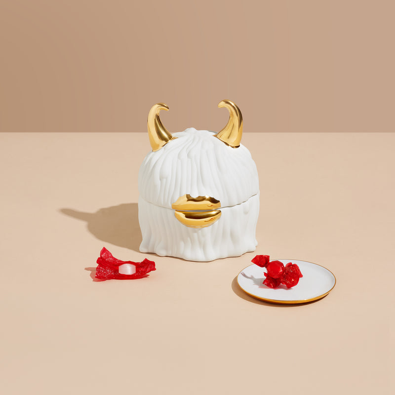 Haas Lynda Box + Plates (Set of 4) - White