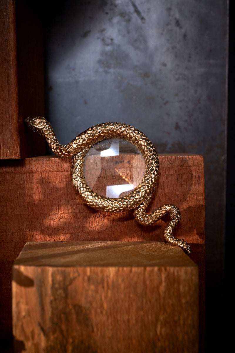 Snake Magnifying Glass - Large