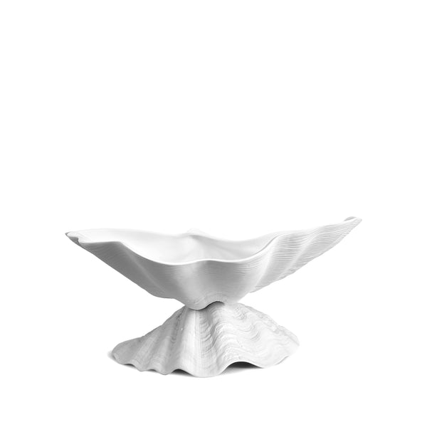 Neptune Bowl - Large. White porcelain shell-shaped bowl floating on a base. 