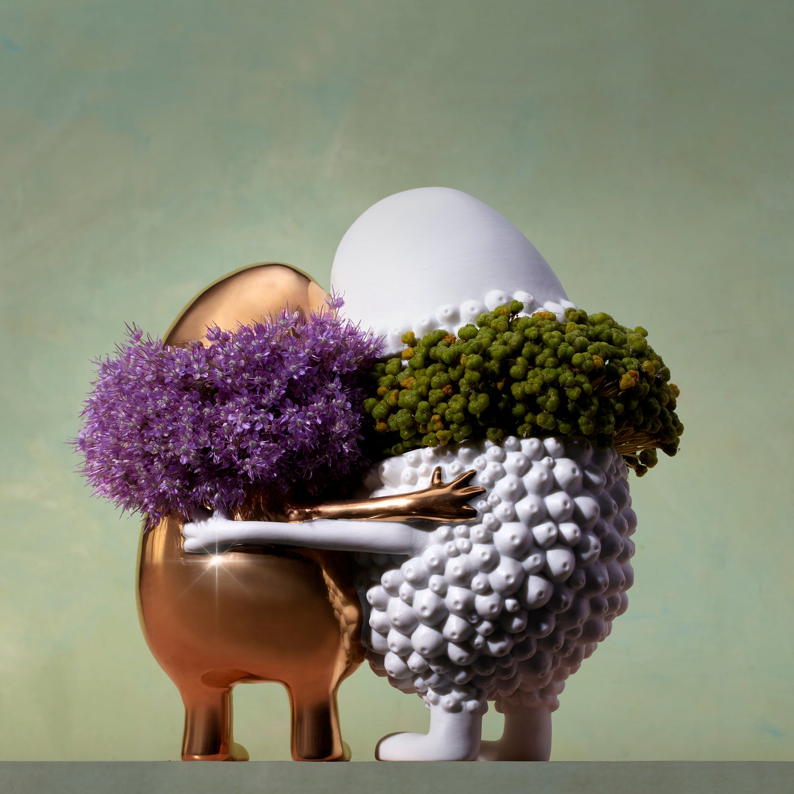 Haas Huggers Box - L'OBJET